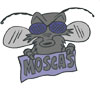 Moscas